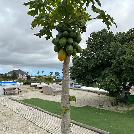 El Pasil 2 Appartement Arona (Tenerife)