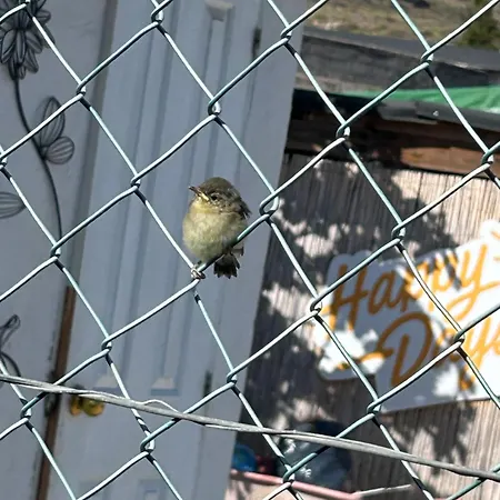 Appartement El Pasil 2 Arona (Tenerife)