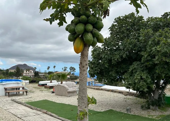 El Pasil 2 Apartmán Arona (Tenerife)