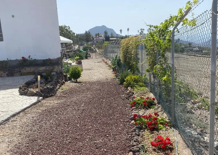 El Pasil 2 * Arona (Tenerife)